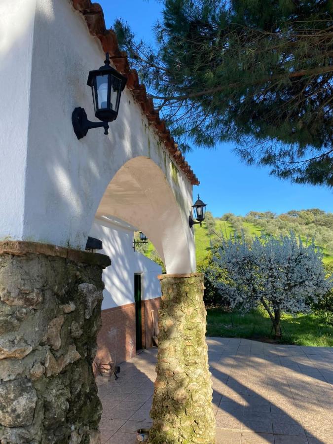 Casa Rural San Antonio Villa La Puebla de los Infantes Dış mekan fotoğraf