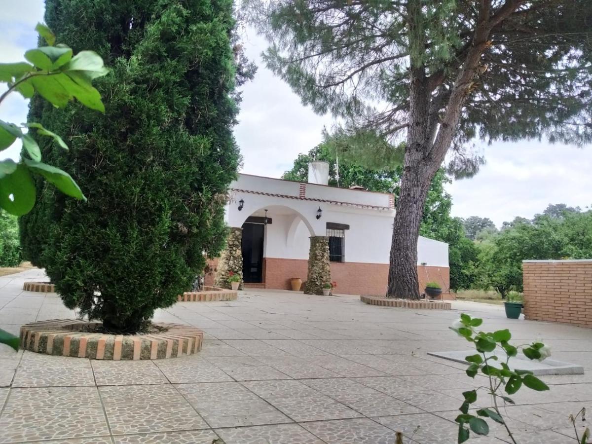 Casa Rural San Antonio Villa La Puebla de los Infantes Dış mekan fotoğraf